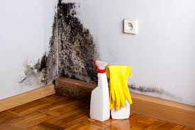 Dehumidification Services in Otsego, MI